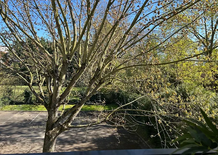 Calme Confort Serenite *