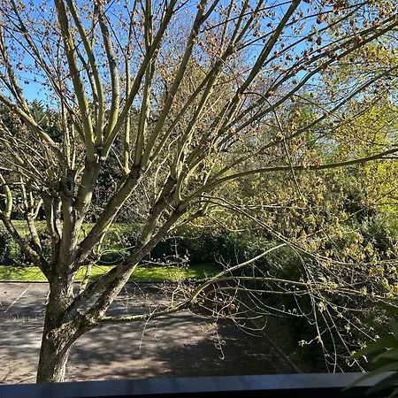 Calme Confort Serenite *